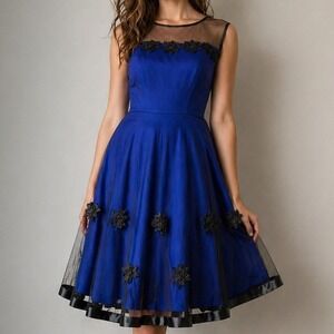 Miss NYC Royal Blue Mesh Illusion Dress Goth Glam Coquette Dark Fairy S